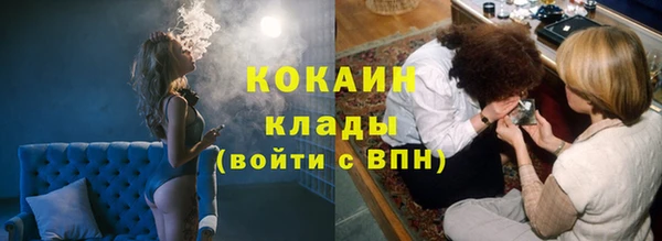 СК Алексин
