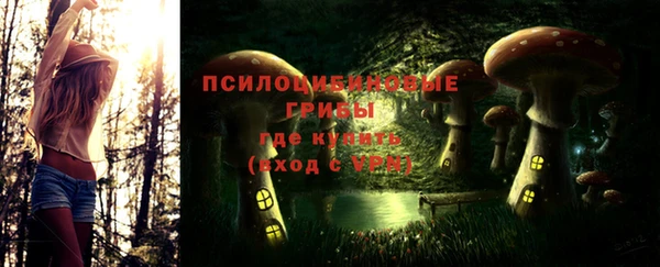 ешки Алзамай